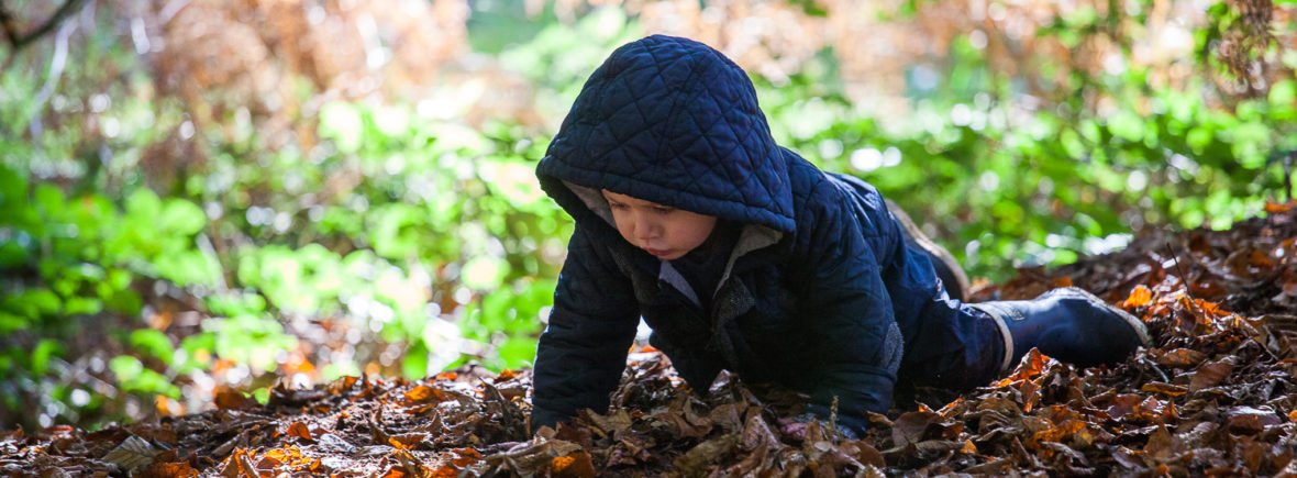 Forest School